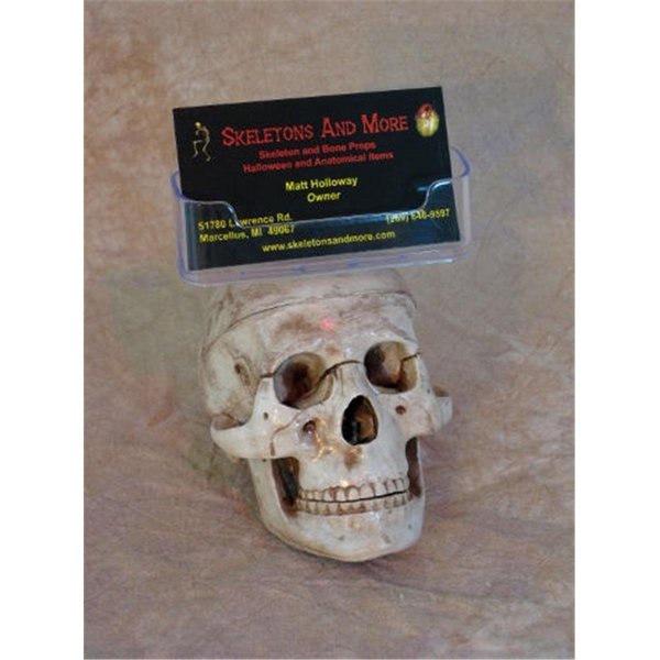 Perfectpretend Skull Business Card Holder PE1413028